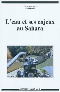 L'eau et ses enjeux au Sahara