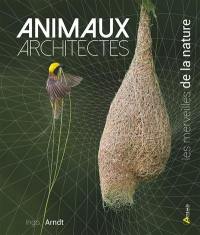 Animaux architectes : les merveilles de la nature