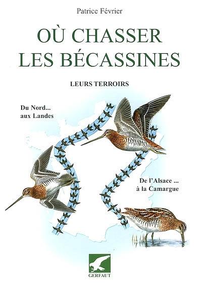 Où chasser les bécassines : leurs terroirs, du Nord aux Landes, de l'Alsace à la Camargue