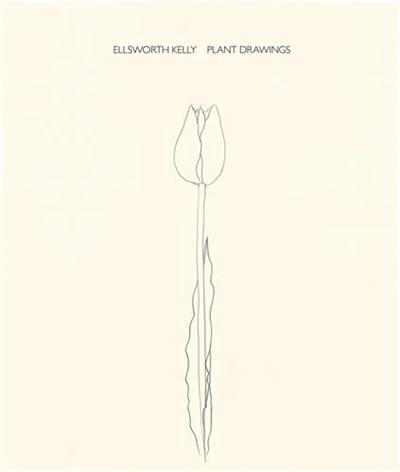 Ellsworth Kelly Plant Drawings