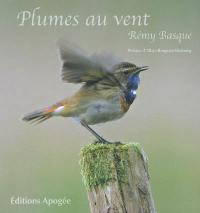 Plumes au vent