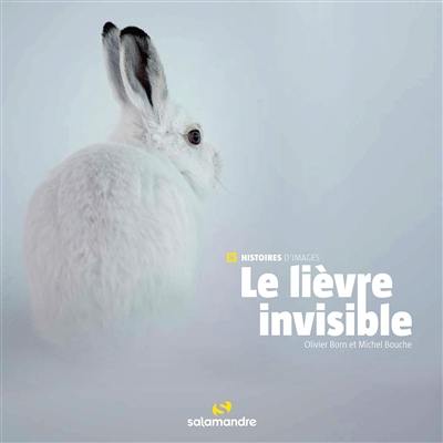 Le lièvre invisible