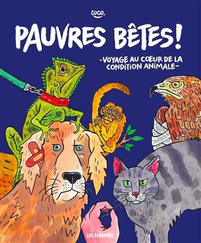 Pauvres bêtes ! : voyage au coeur de la condition animale