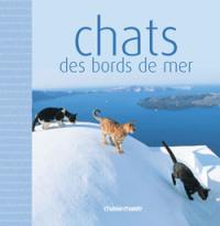 Chats des bords de mer