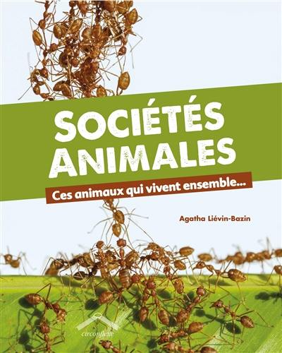 Sociétés animales : ces animaux qui vivent ensemble...