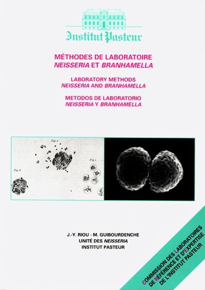 Méthodes de laboratoire : Neisseria et Branhamella. Laboratory methods : Neisseria and Branhamella. Métodos de laboratorio : Neisseria y Branhamella