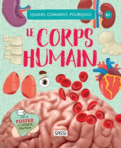 Le corps humain