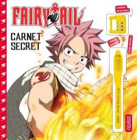 Fairy Tail : carnet secret