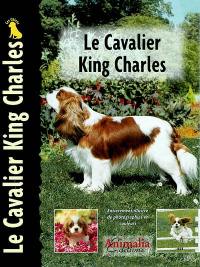 Le cavalier king charles