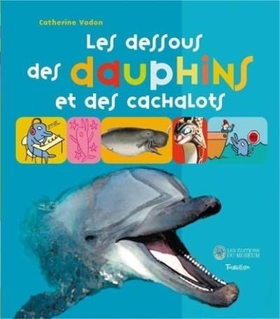 Les dessous des dauphins et des cachalots