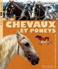 Chevaux et poneys