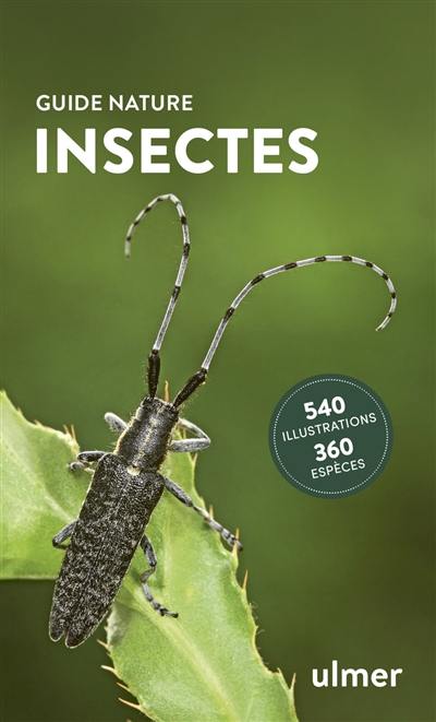 Insectes : 540 illustrations, 360 espèces