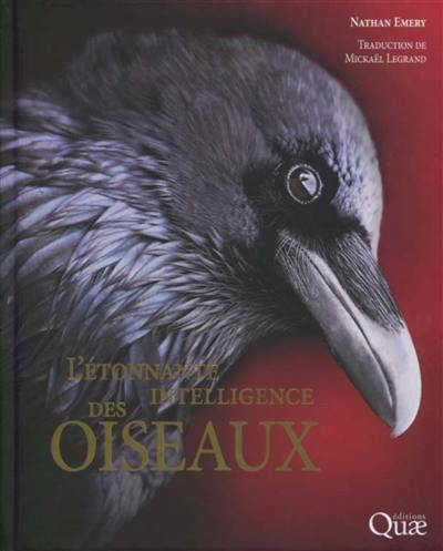 L'étonnante intelligence des oiseaux