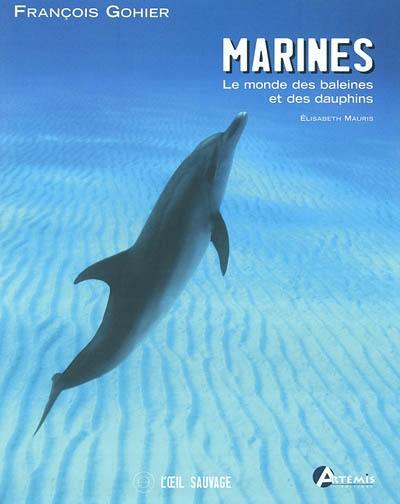 Marines : le monde des baleines et des dauphins