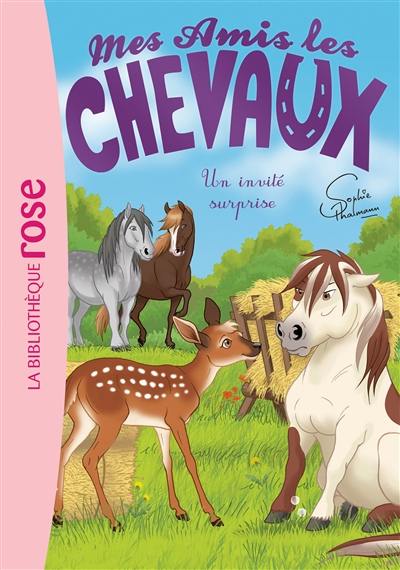 Mes amis les chevaux. Vol. 28. Un invité surprise