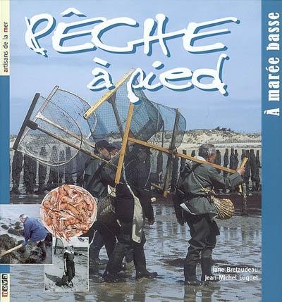 Pêche à pied : à marée basse