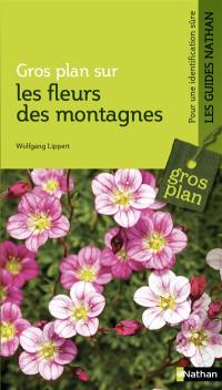 Les fleurs des montagnes