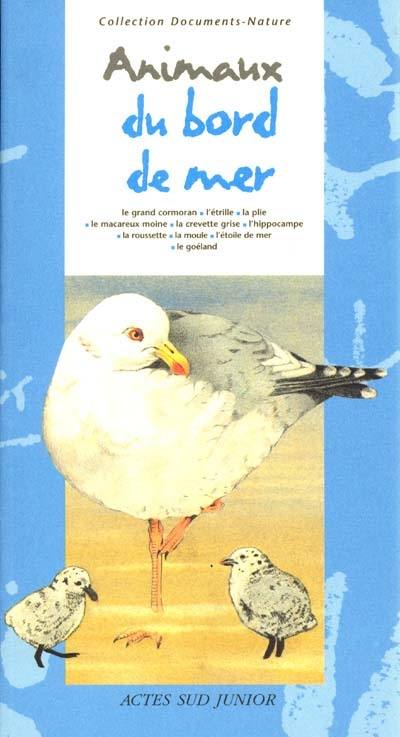 Les animaux du bord de mer