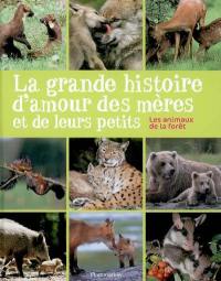 La grande histoire d'amour des mères et de leurs petits : les animaux de la forêt