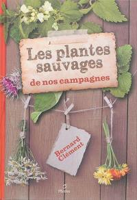 Les plantes sauvages de nos campagnes