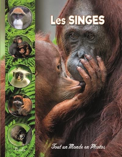 Les singes