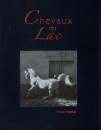 Chevaux du lac