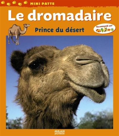 Le dromadaire : prince du désert