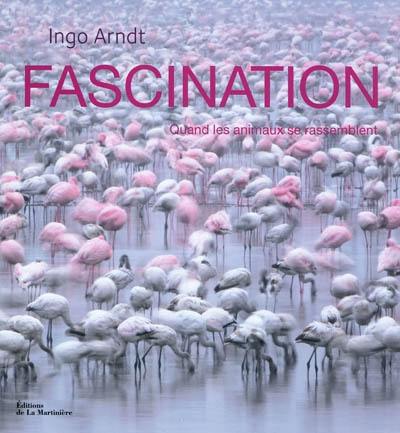 Fascination : quand les animaux se rassemblent