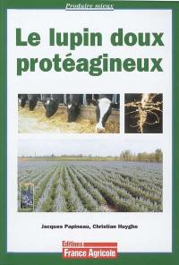 Le lupin doux protéagineux : une source de protéines à découvrir