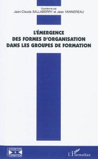 L'émergence des formes d'organisation dans les groupes de formation