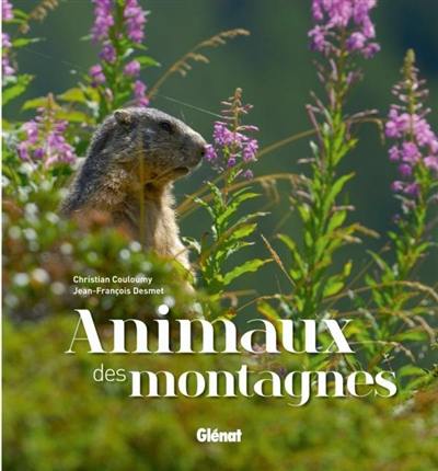 Animaux des montagnes