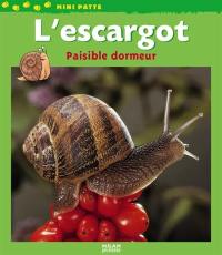 L'escargot, paisible dormeur