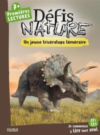 Un jeune tricératops téméraire