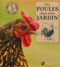 Des poules dans mon jardin