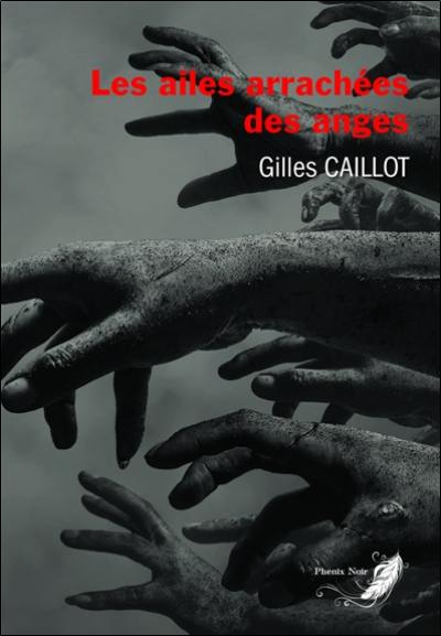 Le cycle du mal. Vol. 4. Les ailes arrachées des anges : thriller