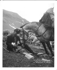 La transhumance de Marcel Cohen : une manière d'habiter le monde