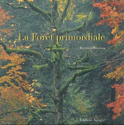 La forêt primordiale