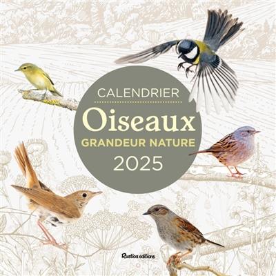 Oiseaux grandeur nature : calendrier mural 2025