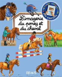 L'imagerie du poney et du cheval