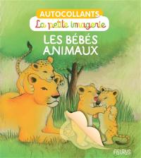 Les bébés animaux