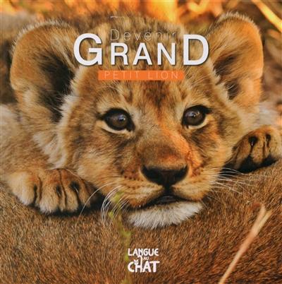 Devenir grand. Petit lion