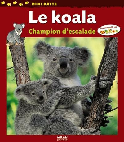 Le koala : champion d'escalade