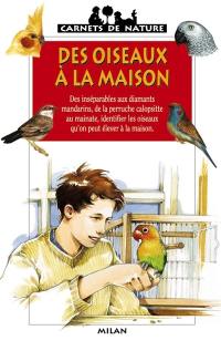 Des oiseaux à la maison