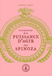 Les expressions de la puissance d'agir chez Spinoza