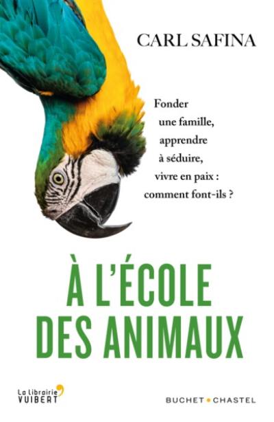 A l'école des animaux : fonder une famille, apprendre à séduire, vivre en paix : comment font-ils ?