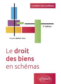 Le droit des biens en schémas