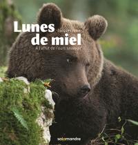 Lunes de miel : à l'affût de l'ours sauvage