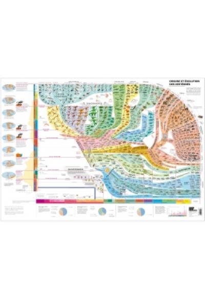 Origine et évolution des vertébrés