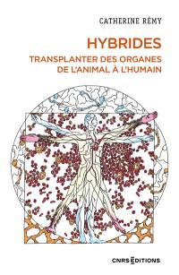 Hybrides : transplanter des organes de l'animal à l'humain