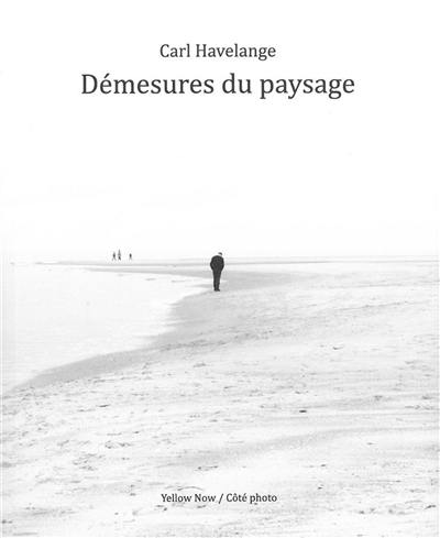 Démesures du paysage